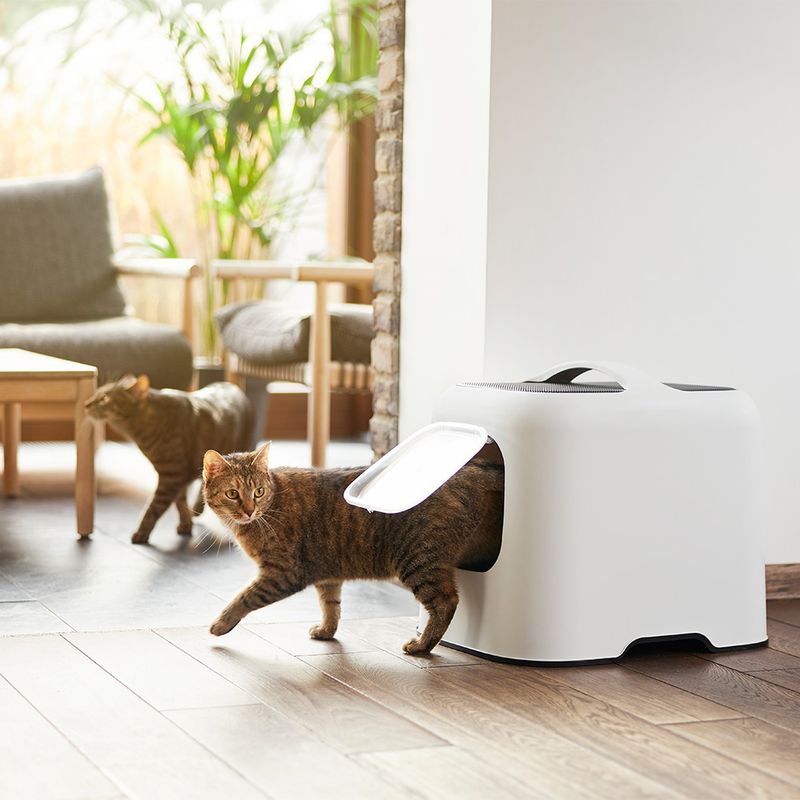 Rotho MyPet Katzentoilette BIALA zu TOP-Preisen