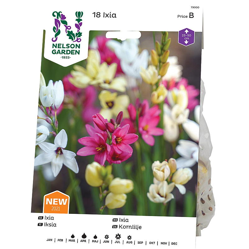 Nelson garden Ixia mix