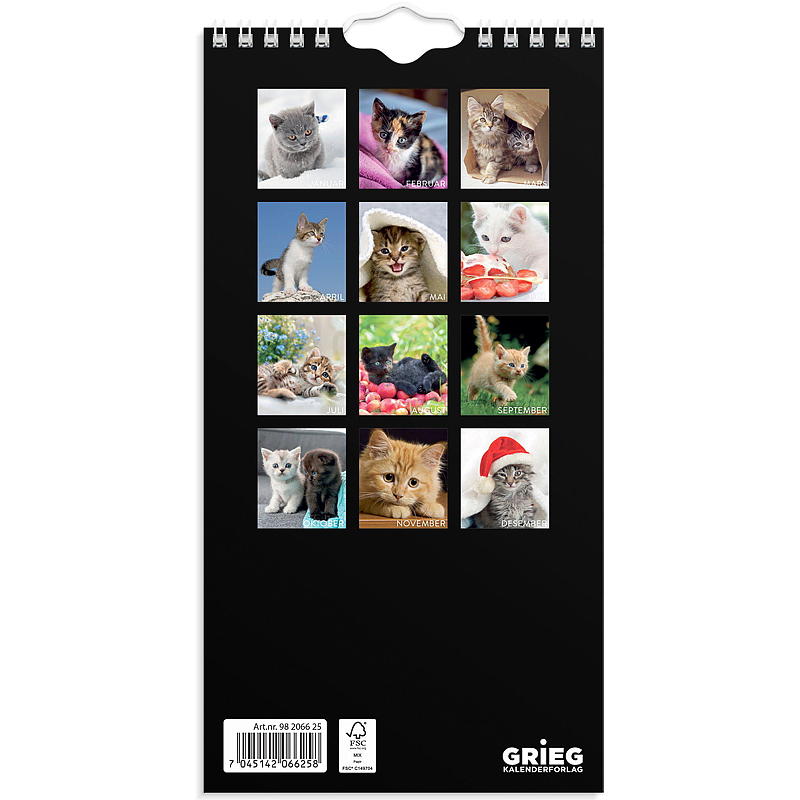 Veggkalender katter mini 2025