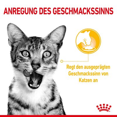 Royal Canin Sensory Taste in Soße