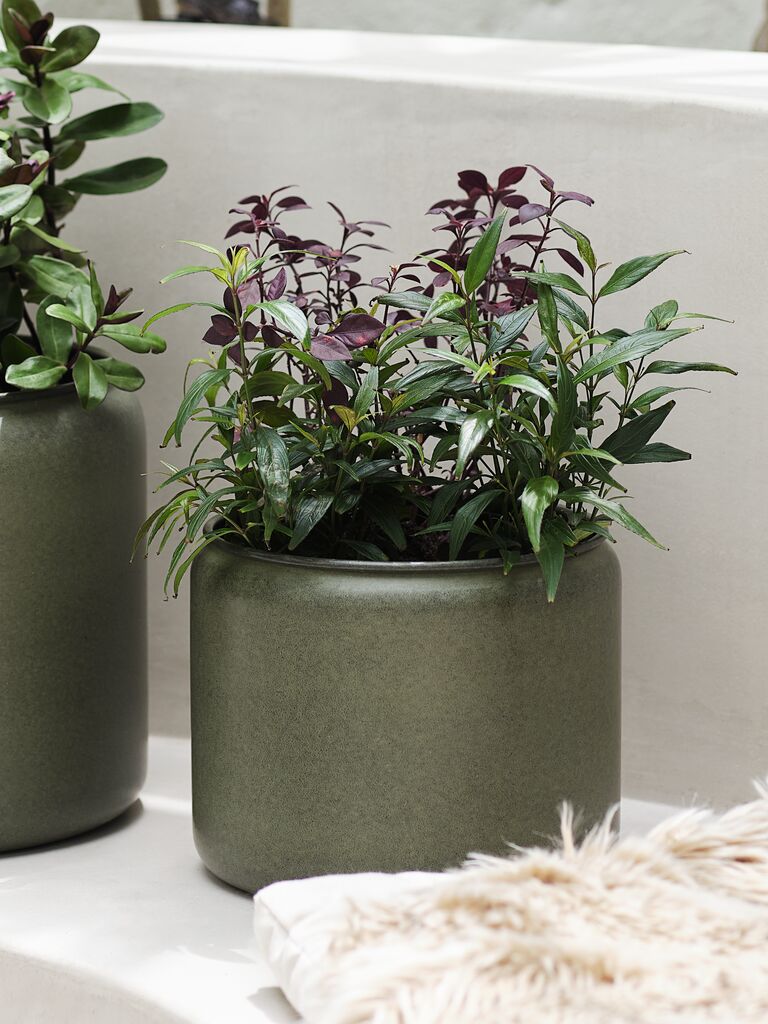 SNORKLA Doniczka SNORKLA Ø31xW27 oliwkowa