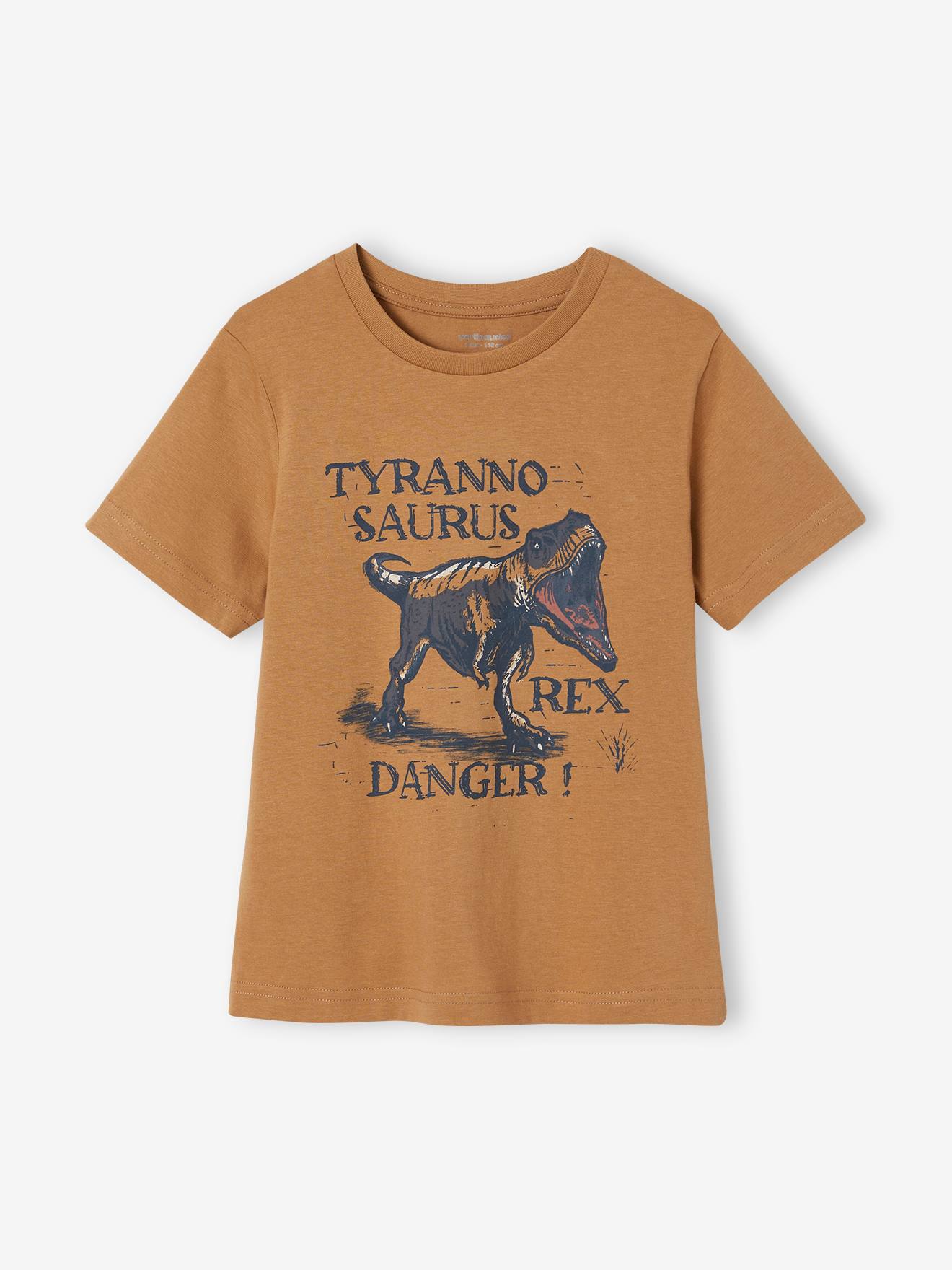 Vertbaudet Jungen T-Shirt mit Dino-Print, Recycling-Baumwolle - graublau