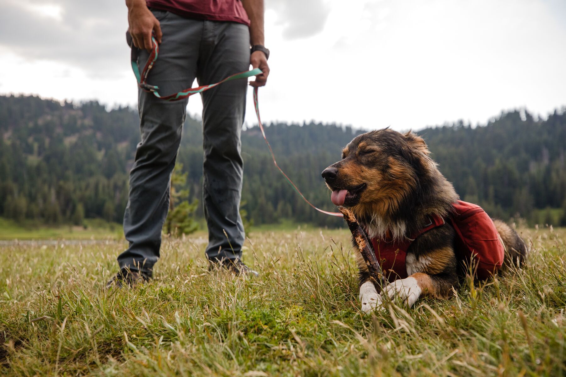Ruffwear Hundeleinen Ruffwear Flat Out™ Leine blau/ türkis/ rot