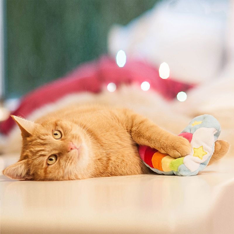 Aumüller Katzenspielzeug Regenbogenherz zu TOP-Preisen