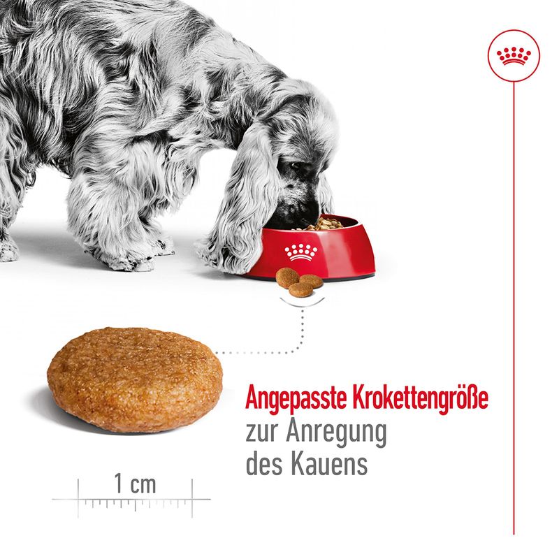 Royal Canin Medium Adult  zu TOP-Preisen