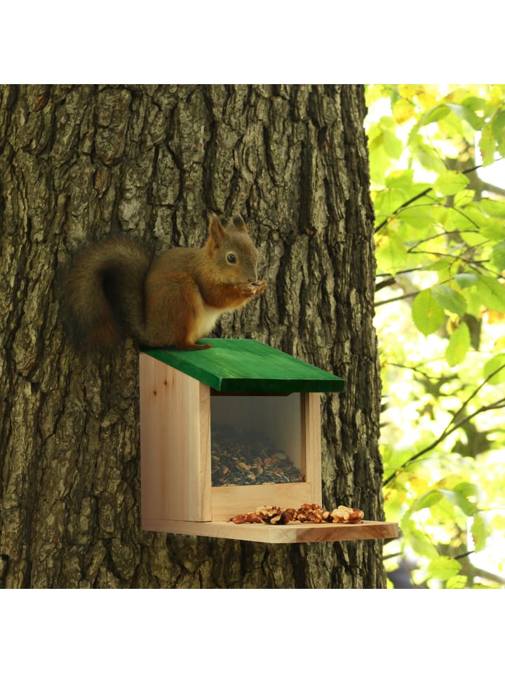 relaxdays Eichhörnchen Futterhaus in Natur/ Grün günstig kaufen onesize