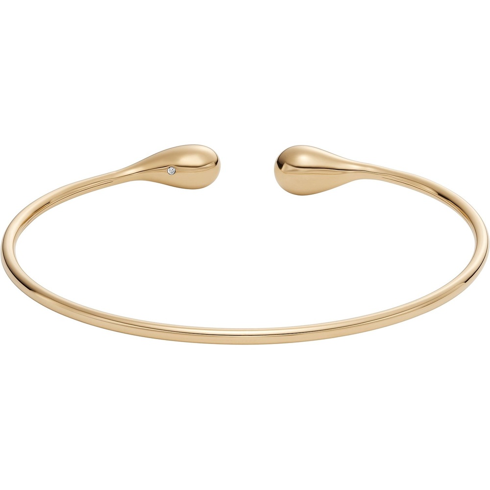 Skagen Bracelet Acier inoxydable Bracelet