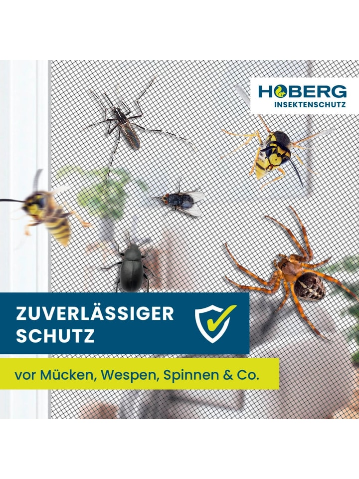 HOBERG Hoberg Fenster-Moskitonetz 150 x 130 cm günstig kaufen onesize