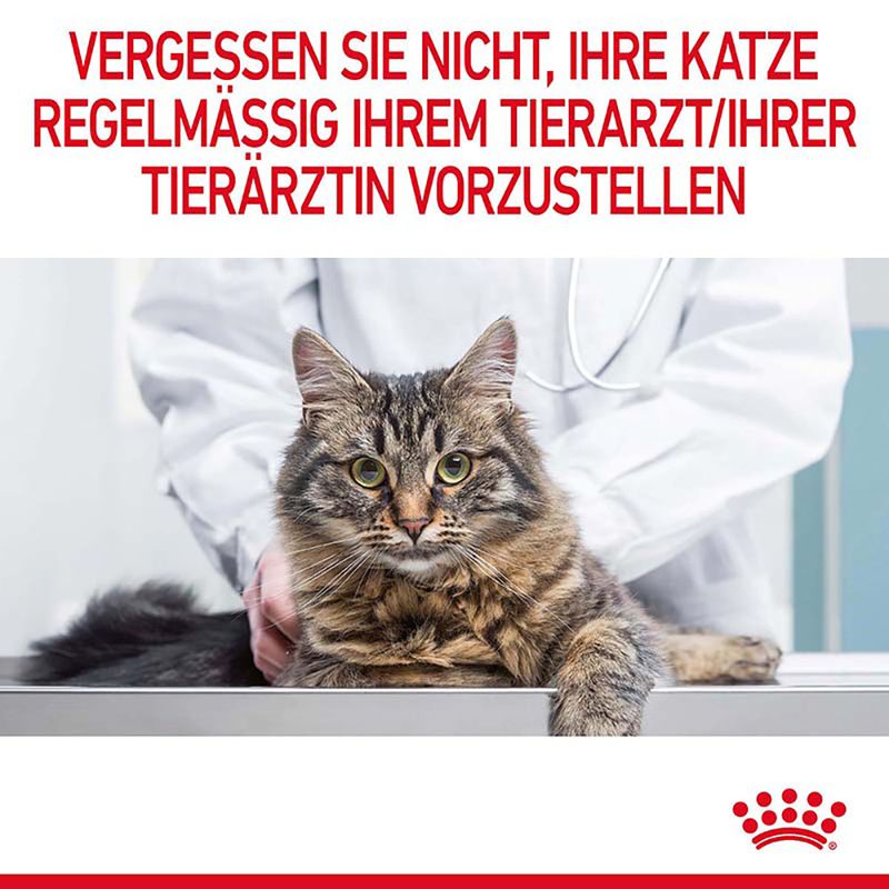 Royal Canin Appetite Control Care zu TOP-Preisen