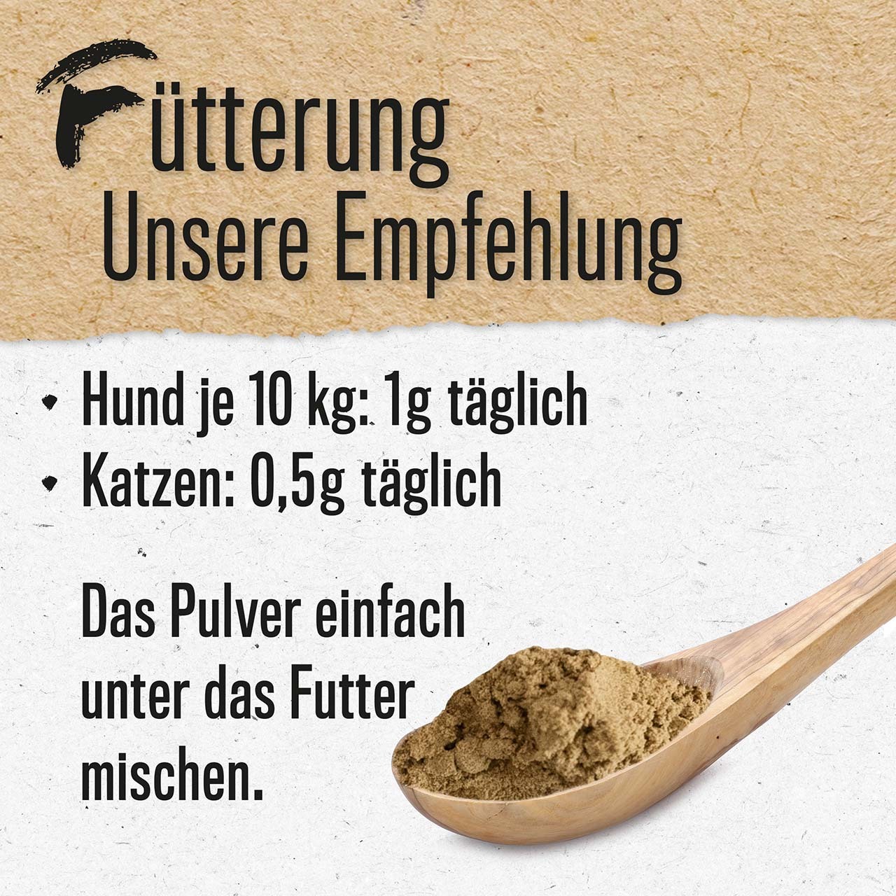 ALPHAZOO Ergänzungsfutter & Aufzucht ALPHAZOO Grünlippmuschel-Pulver für Hunde und Katzen 100 g