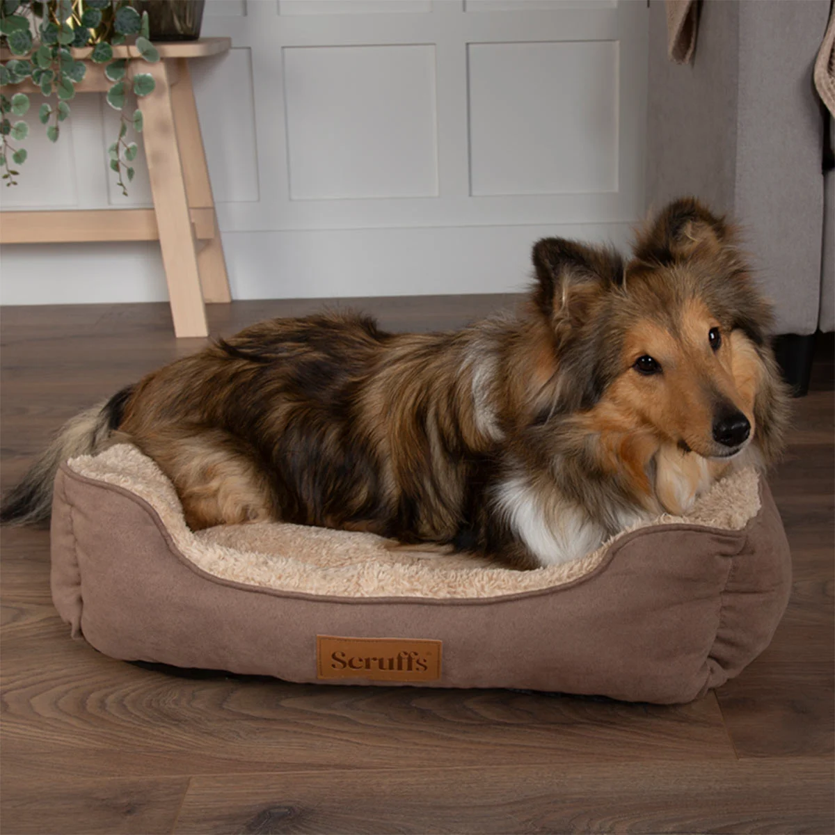 Scruffs Cosy Box Bett Karamellbraun günstig kaufen bei ZooRoyal