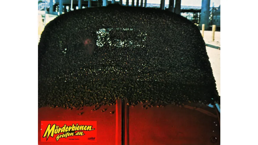 Killerbienen I - Die Mörderbienen greifen an (The Savage Bees) (Filmjuwelen)