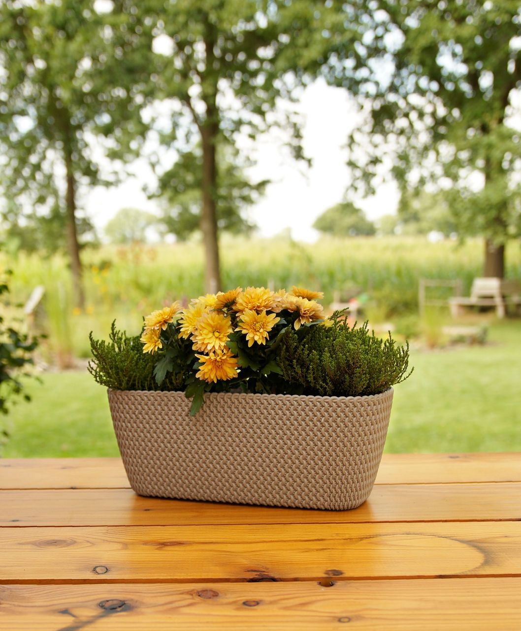 Powertec Garden Strickoptik-Balkon-Pflanzkasten - Mocca