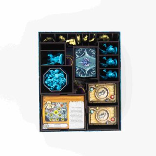 Black Organizer Pandemic World of Warcraft