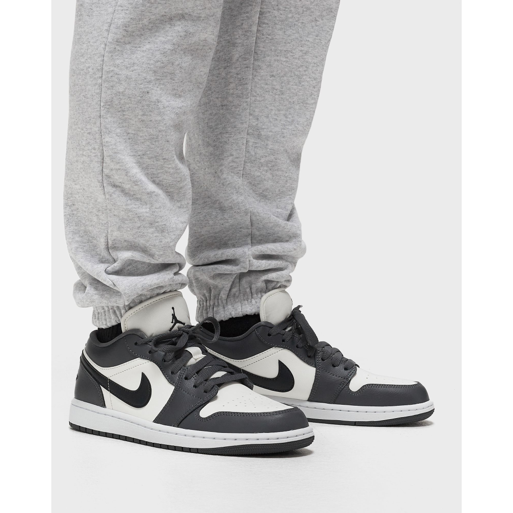 NIKE JORDAN WMNS 1 Air Jordan Low DC0774-102 / grau