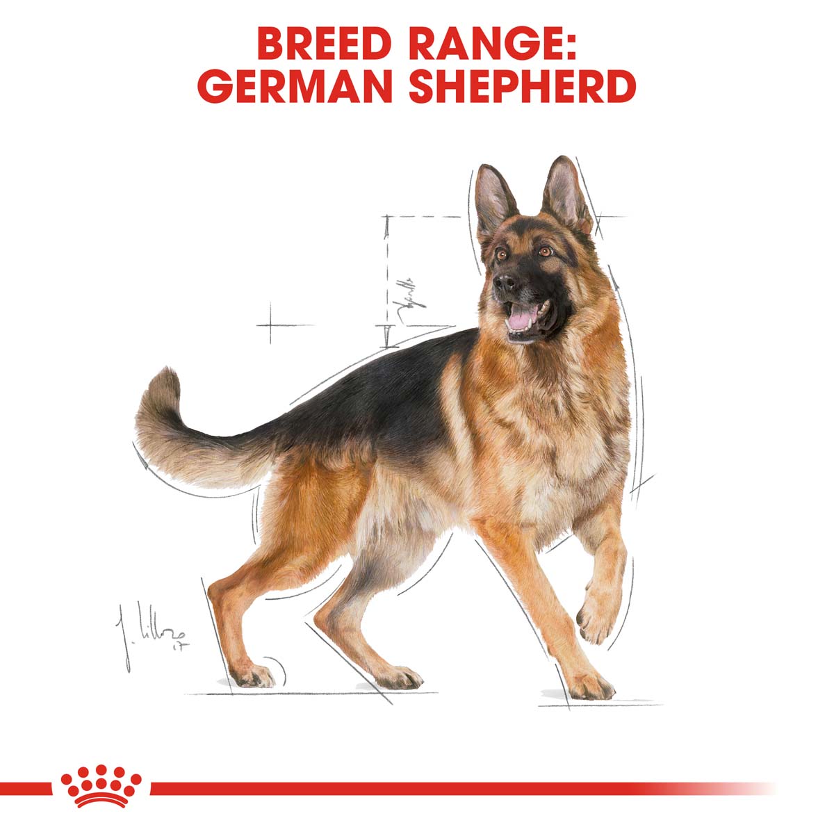 ROYAL CANIN German Shepherd Adult Hundefutter trocken für Deutsche Schäferhunde 11kg