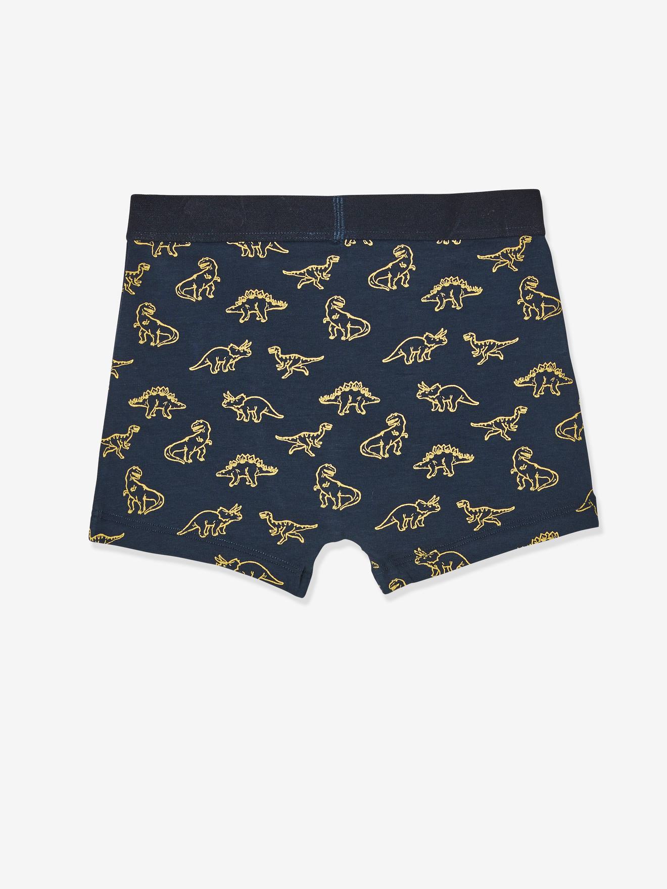 Lot de 5 boxers stretch garçon Dino lot 5