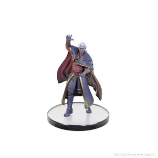 D&D The Legend of Drizzt 35th Anniversary Miniaturen - Family & Foes Boxed Set (Prepainted)