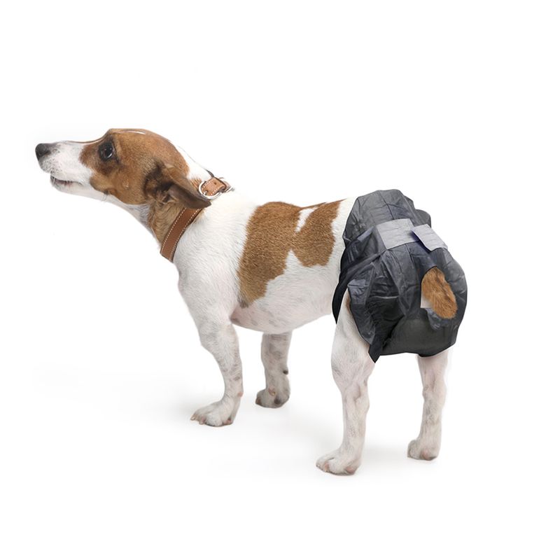 Savic Hundewindel Comfort Nappy zu TOP-Preisen