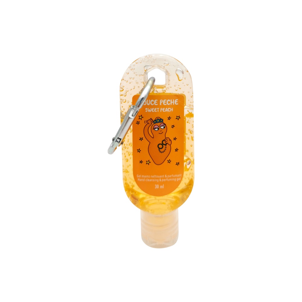 takecare GEL NETTOYANT ET PARFUMANT AVEC MOUSQUETON 30 ML GEL MAINS
