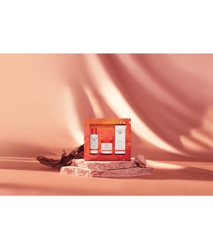 Christophe Robin Ritual Exceptional Regenerating Haarpflegeset-1 Stk