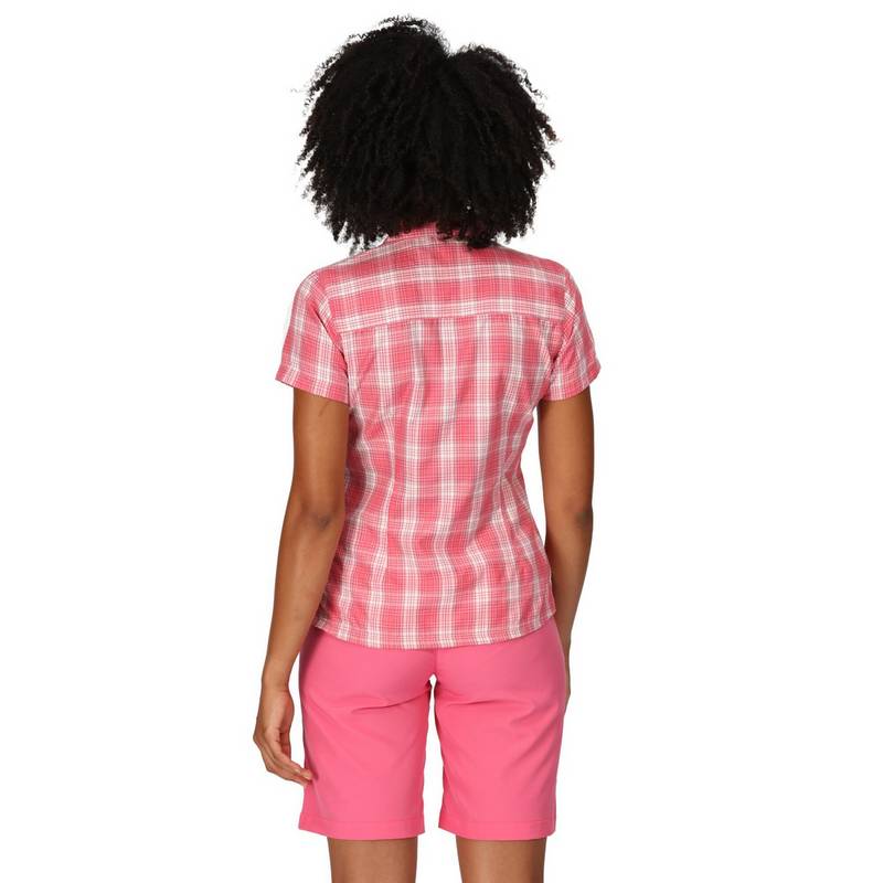 Regatta Mindano VII Funktionsbluse Damen