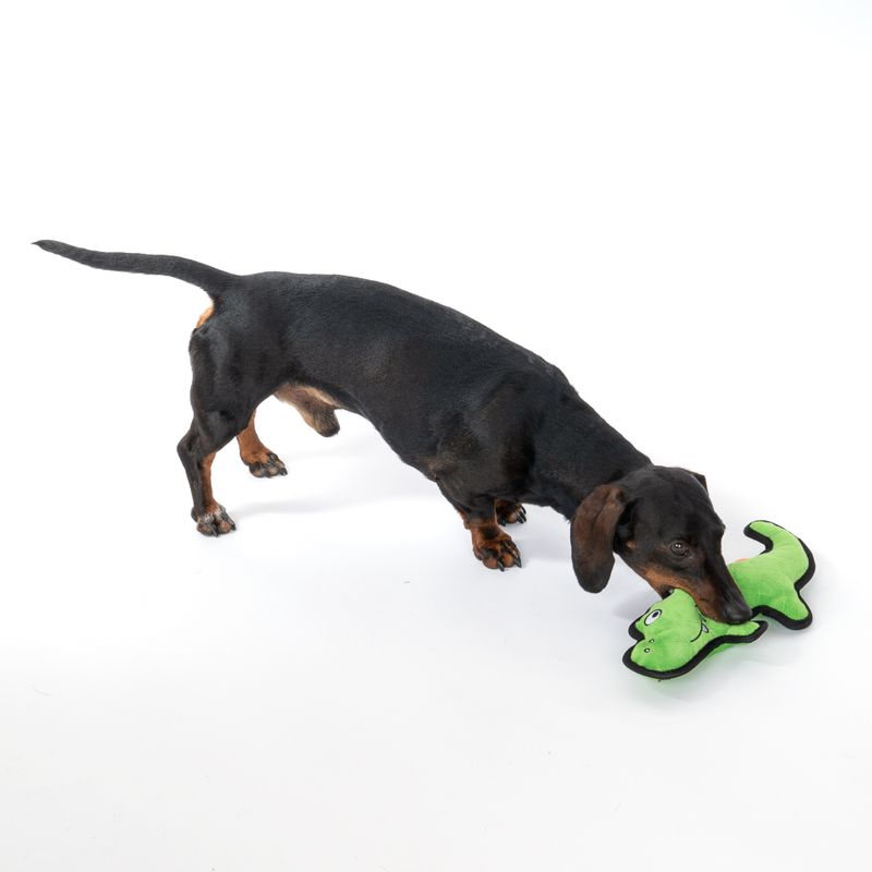 TIAKI Hundespielzeug Happy Croco Tough zu TOP-Preisen | bitiba.de