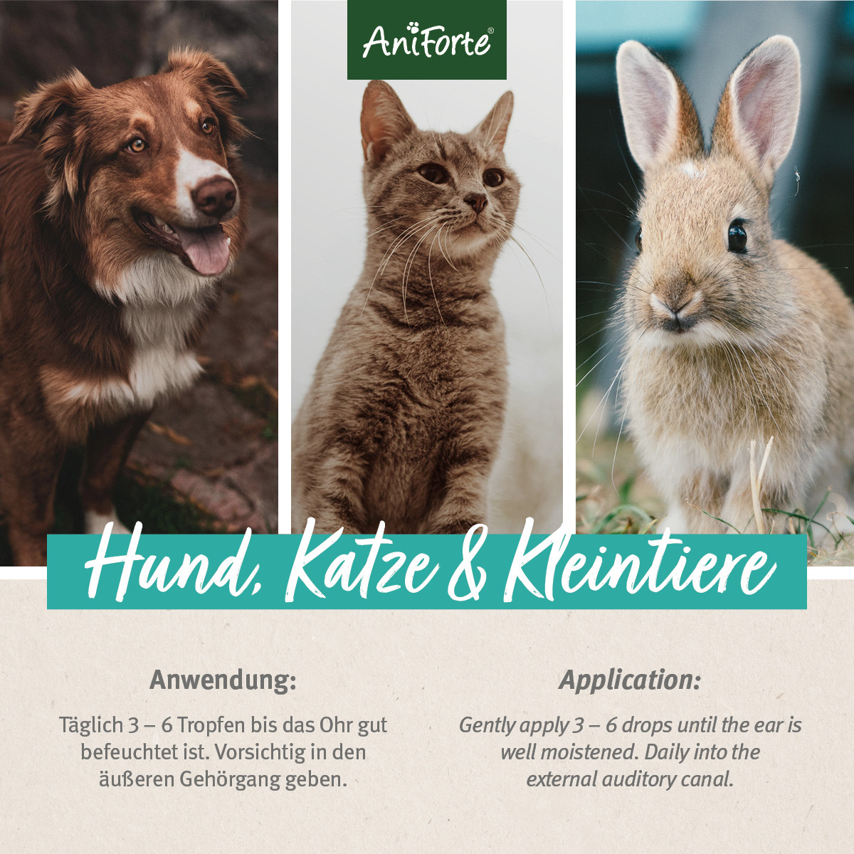 Aniforte Augen- & Ohrenpflege Aniforte VET Ohrentropfen 50ml