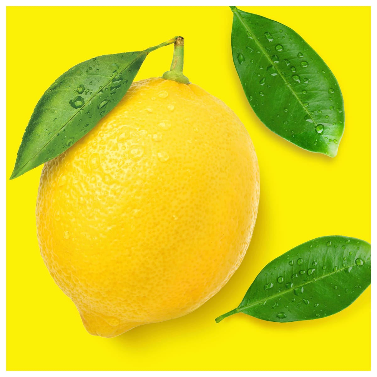 Allzweckreiniger Citrusfrische, 1 l