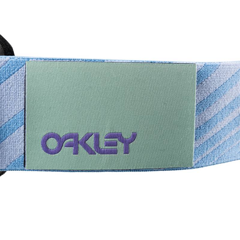 Oakley FLIGHT DECK L Skibrille