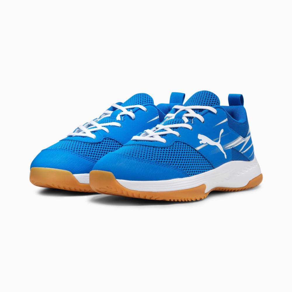 PUMA Varion II Indoor 107342-03 / blau