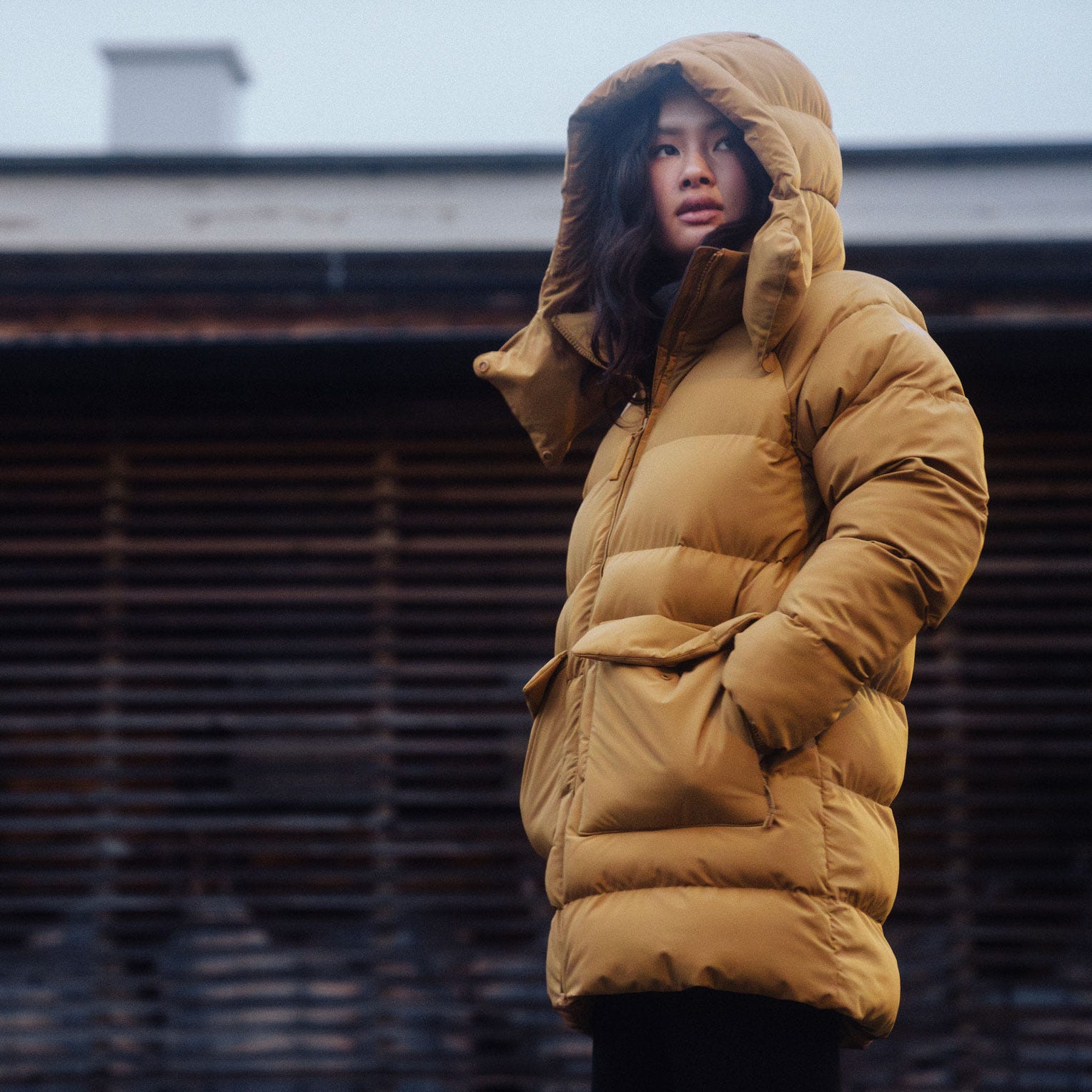 Women's Ellie Puffy Parka
