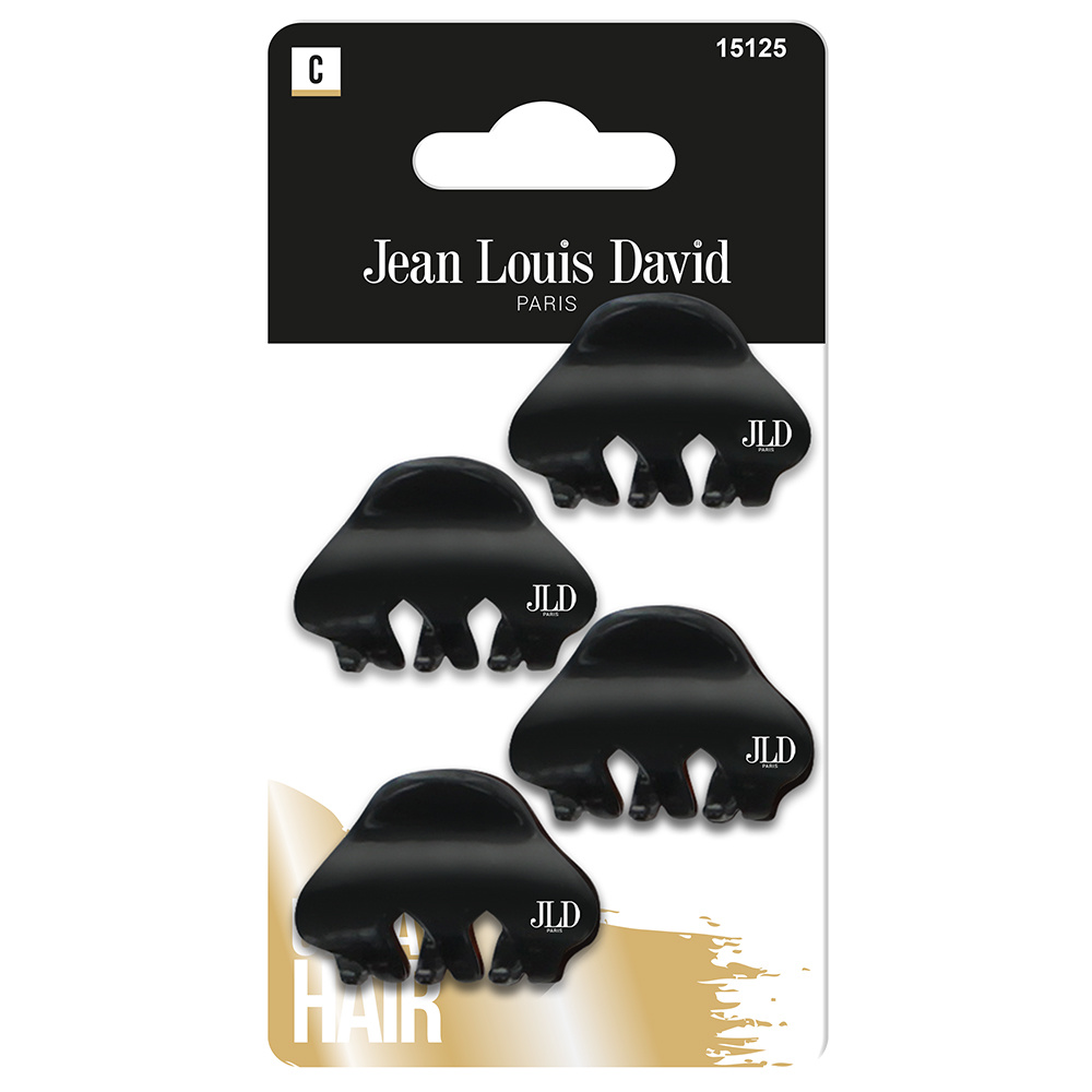 Jean Louis David ORNEMENTS MODE PETIT MODELE PINCE CHEVEUX