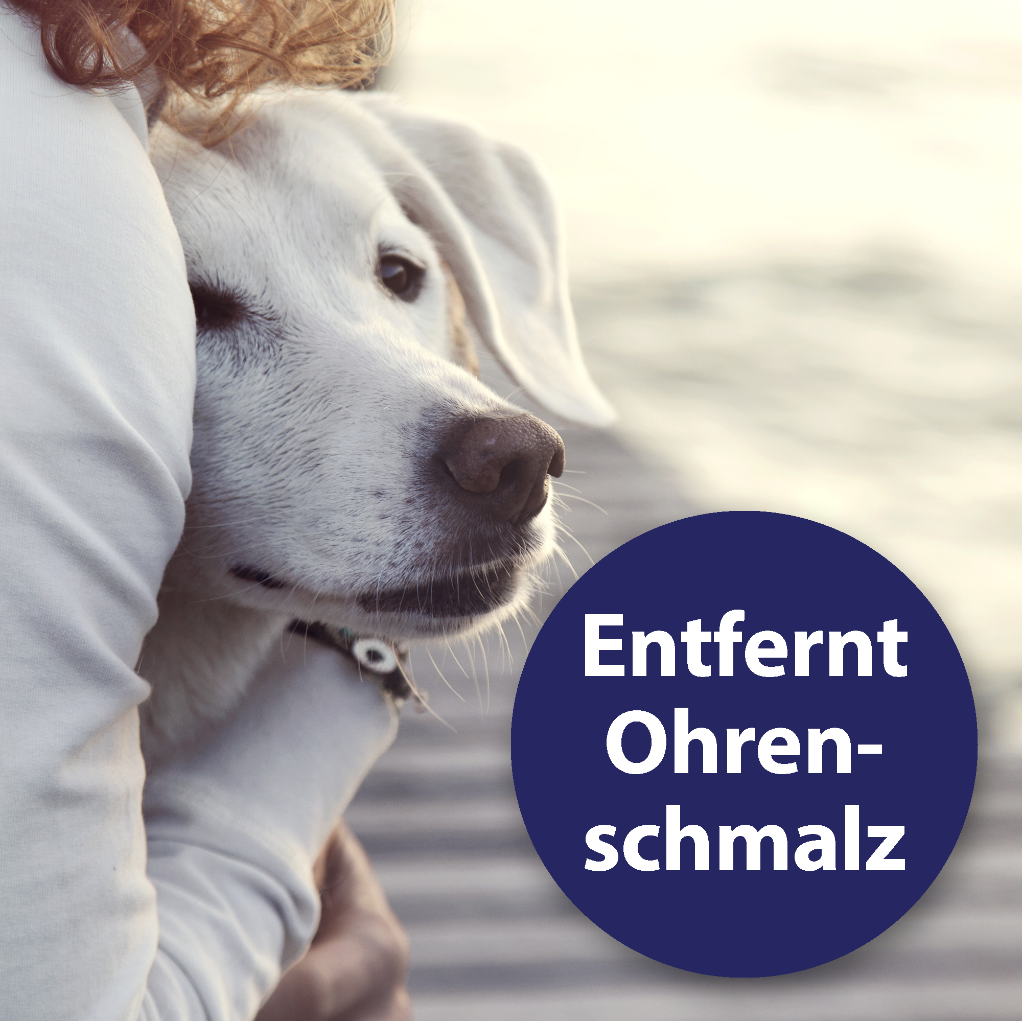 Canosept Augen- & Ohrenpflege Canosept Ohrpflege Finger-Pads für Hunde 50 Stück