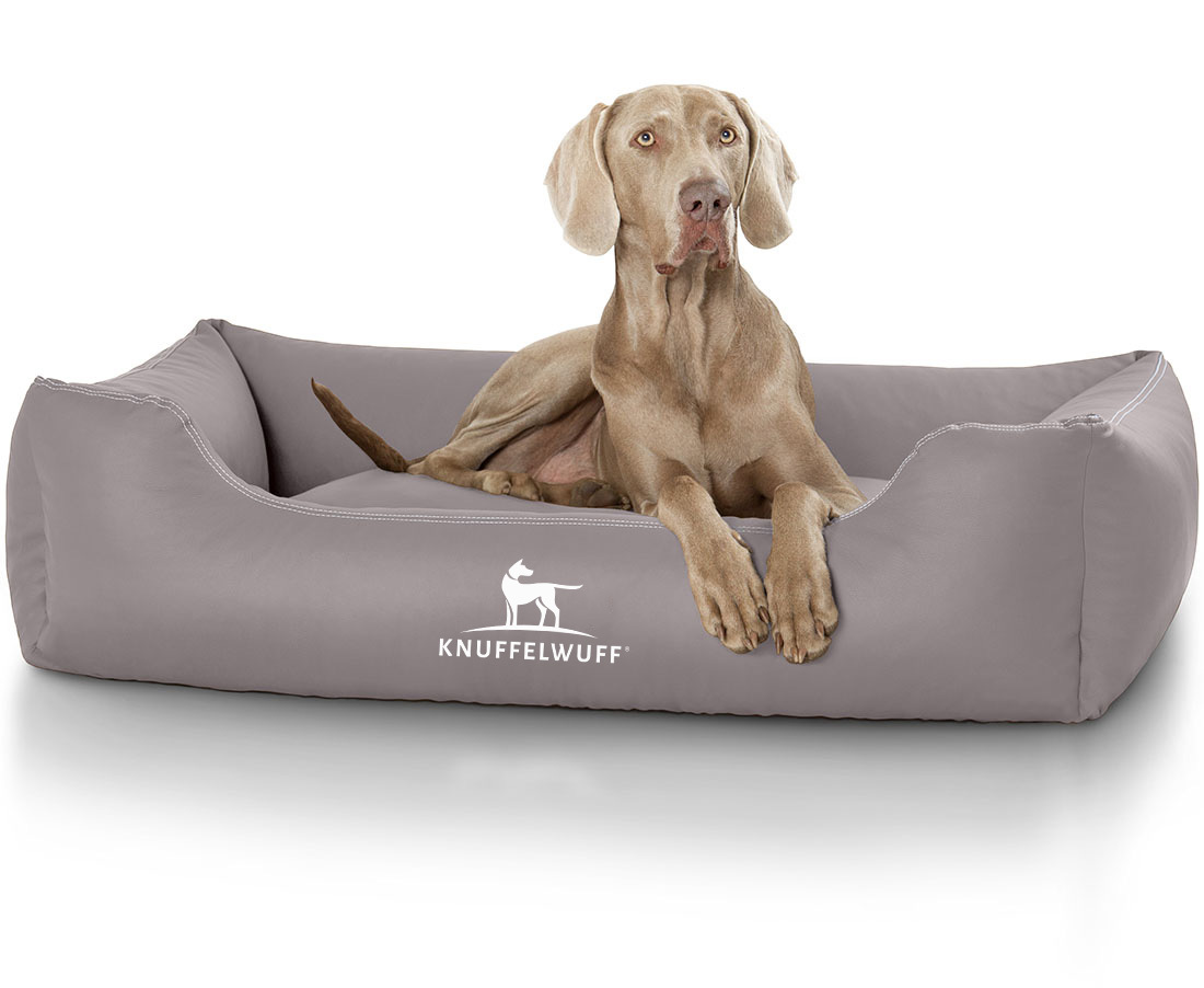 Knuffelwuff Hundebetten Knuffelwuff Kunstleder Hundebett Sidney grau XXL
