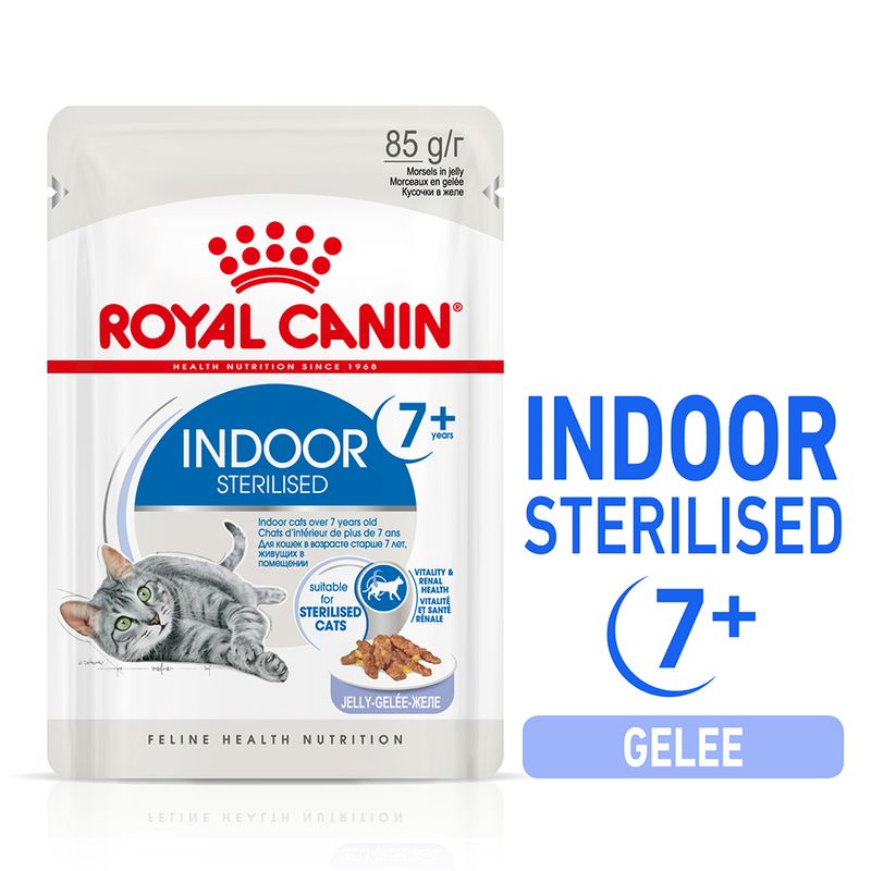 Royal Canin Indoor Sterilised 7+ in Gelee zu TOP-Preisen