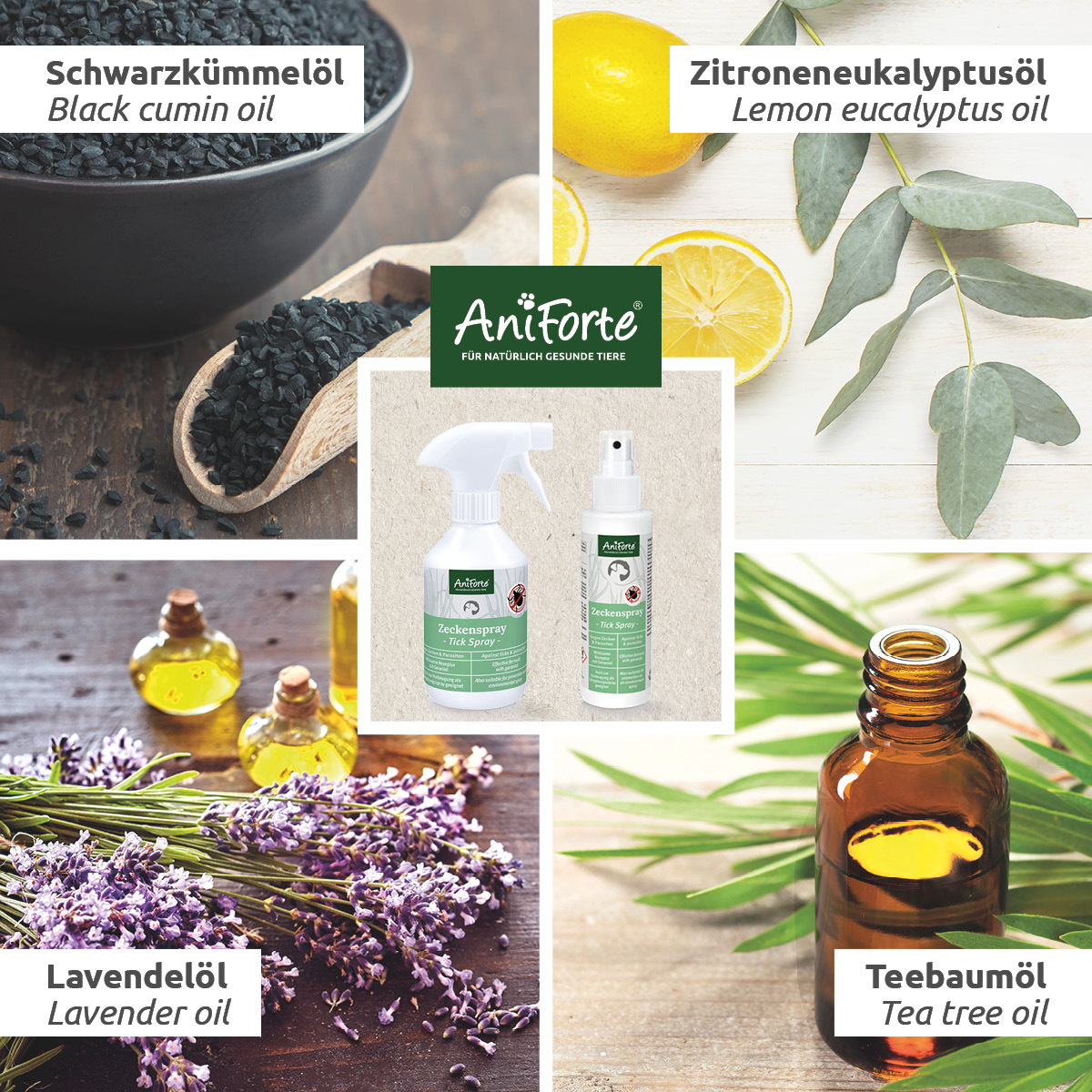 Aniforte Floh- & Zeckenmittel Aniforte Zeckenspray für Hunde 100ml