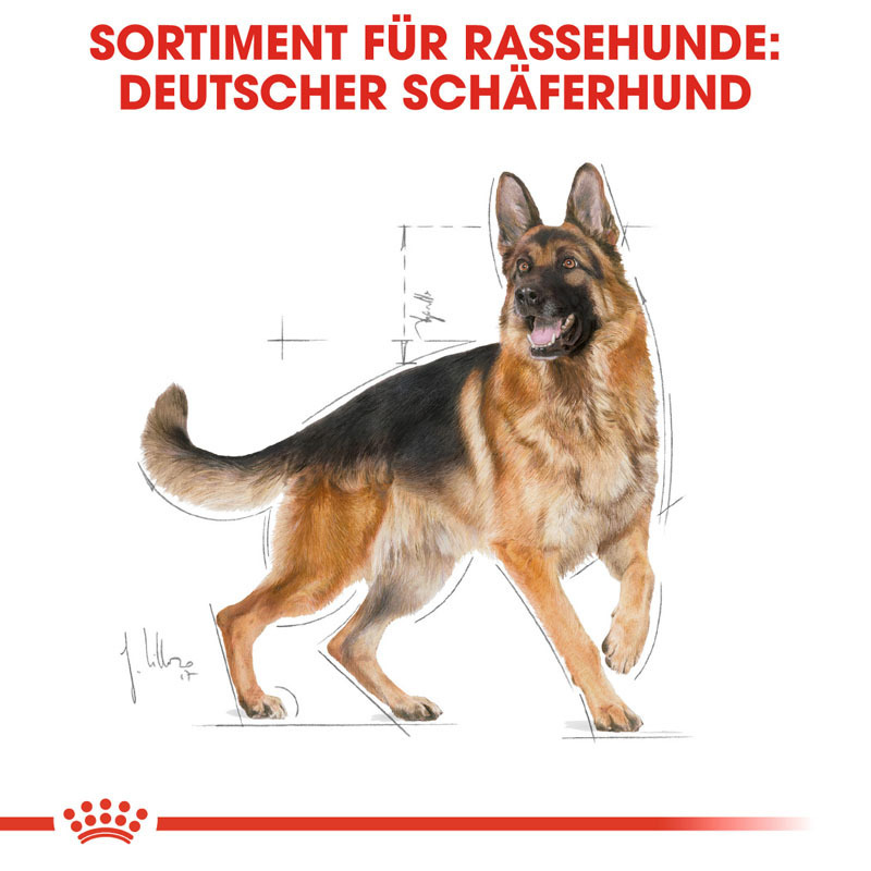 ROYAL CANIN Hundetrockenfutter ROYAL CANIN Deutscher Schäferhund Adult 2x11 kg