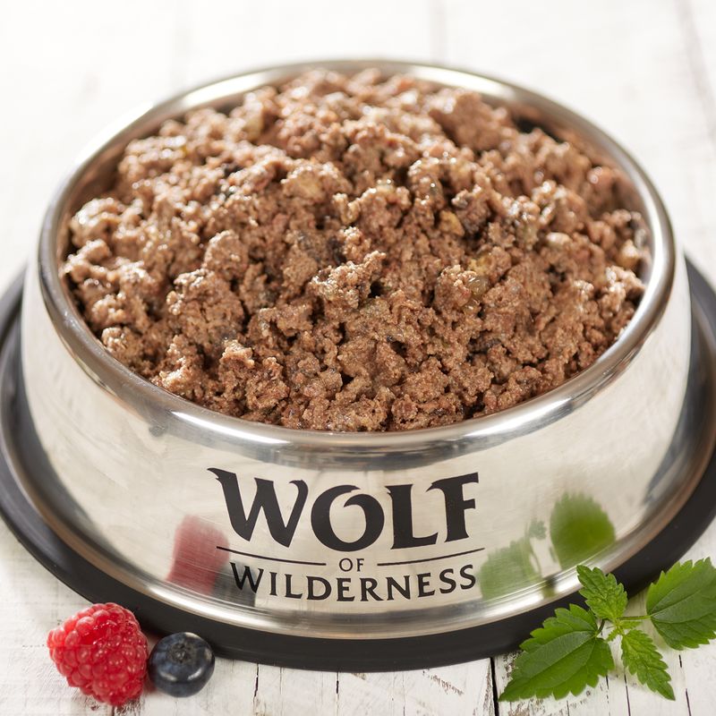 Wolf of Wilderness 'Freiland Fleisch' Junior 6 x 400 g