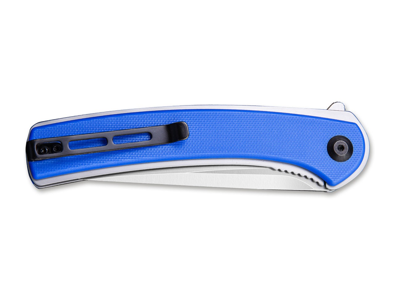 Asticus Blue