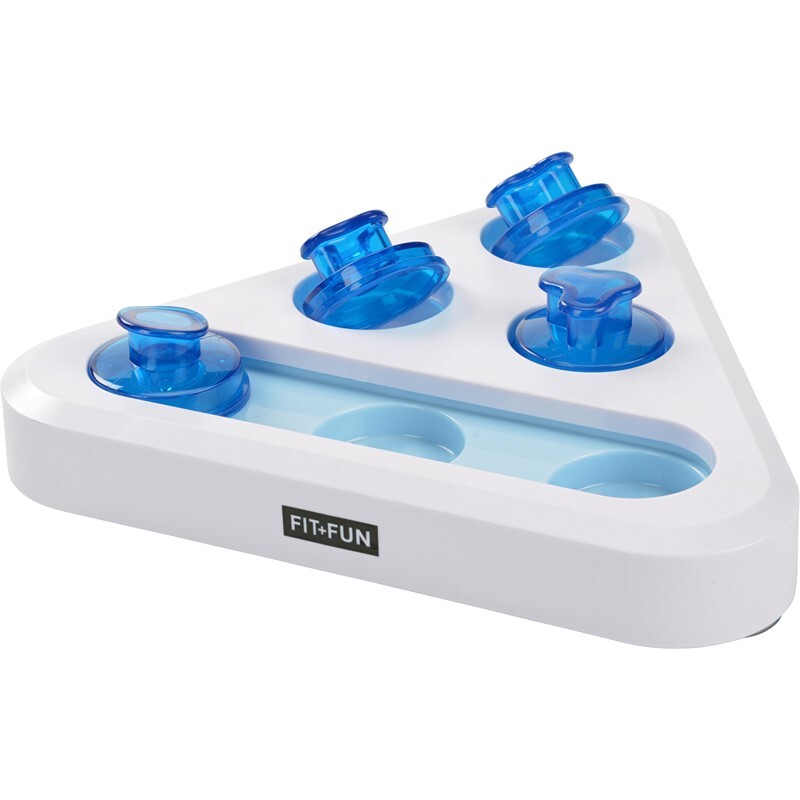 FIT+FUN Intelligenzspielzeug FIT+FUN Intelligenzspielzeug