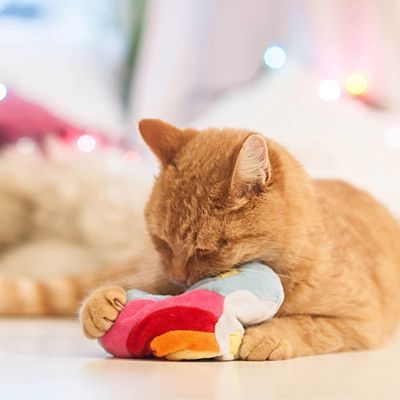 Aumüller Katzenspielzeug Regenbogenherz