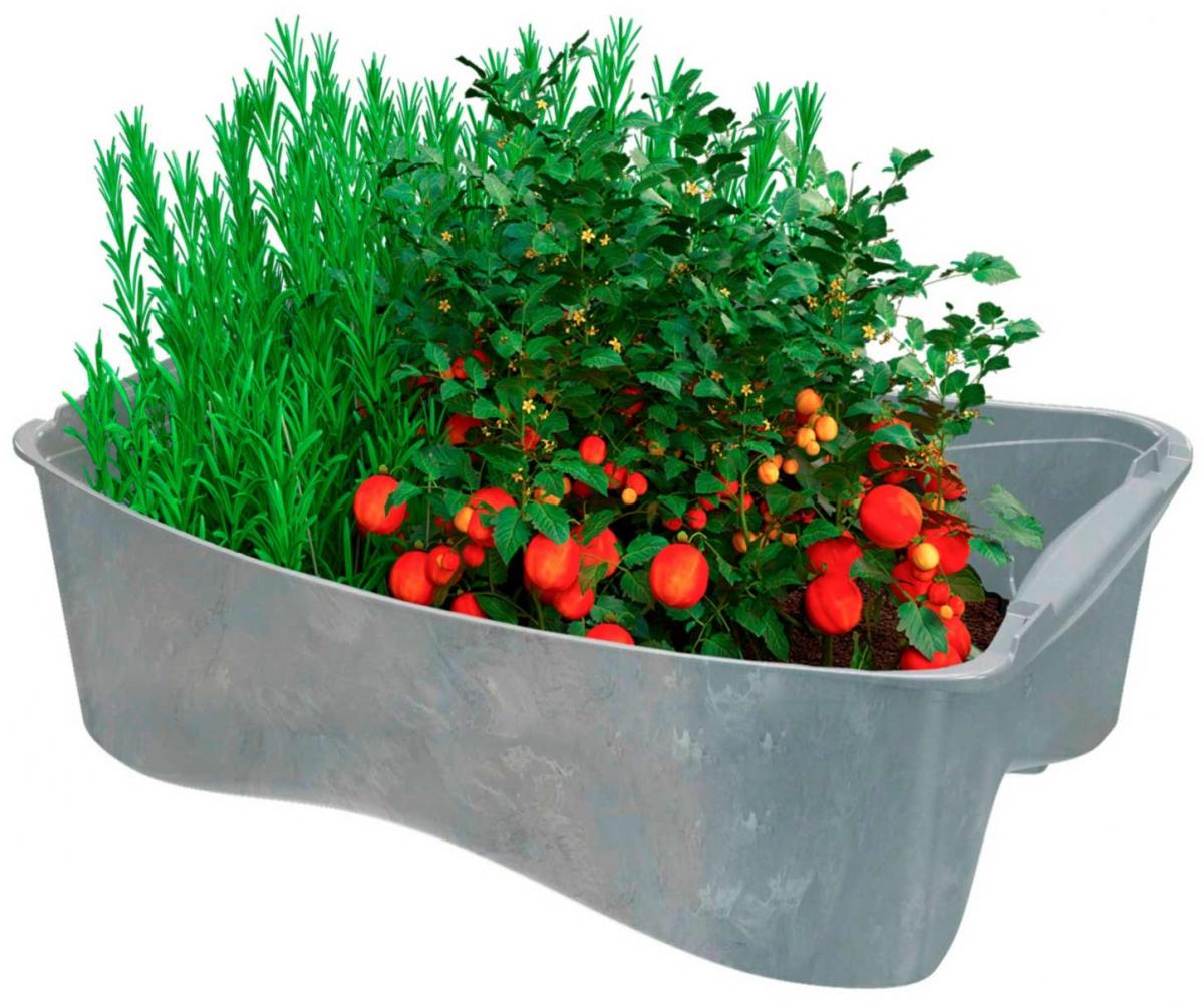 Windhager U-greeny Pflanzbox Multibox Sichtbeton