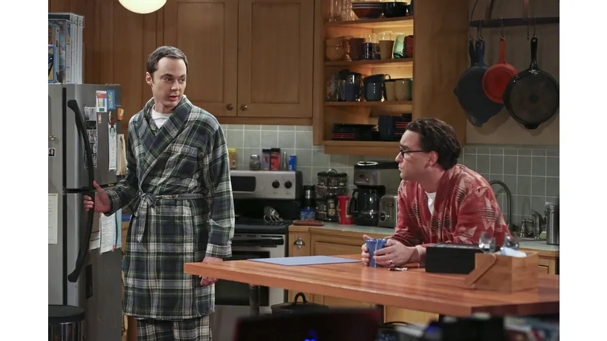 The Big Bang Theory - Staffel 9  [3 DVDs]