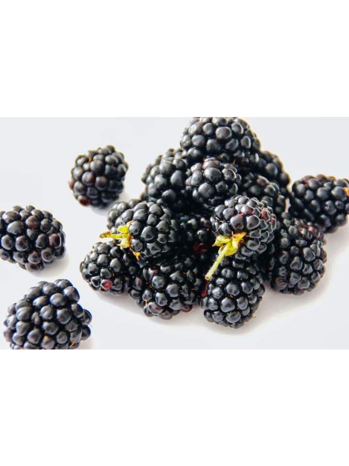 OH2 6er-Set Beeren in Bunt günstig kaufen onesize