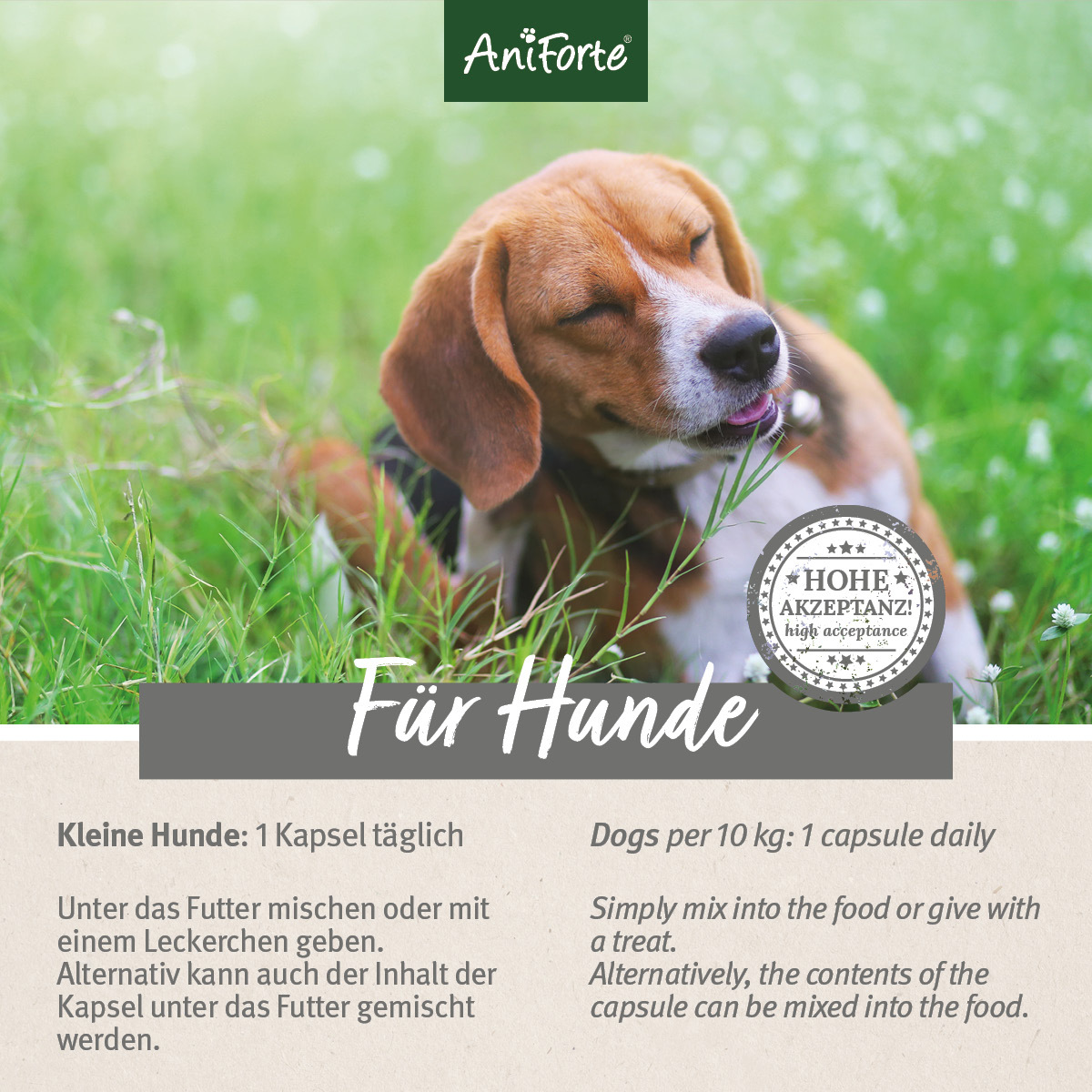 Aniforte Ergänzungsfutter & Aufzucht Aniforte Zecken Schild (bis 10kg) für kleine Hunde 60 Kapseln