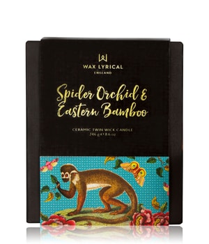 Wax Lyrical Street Mythology Spider Orchid & Eastern Bamboo Duftkerze-246 g