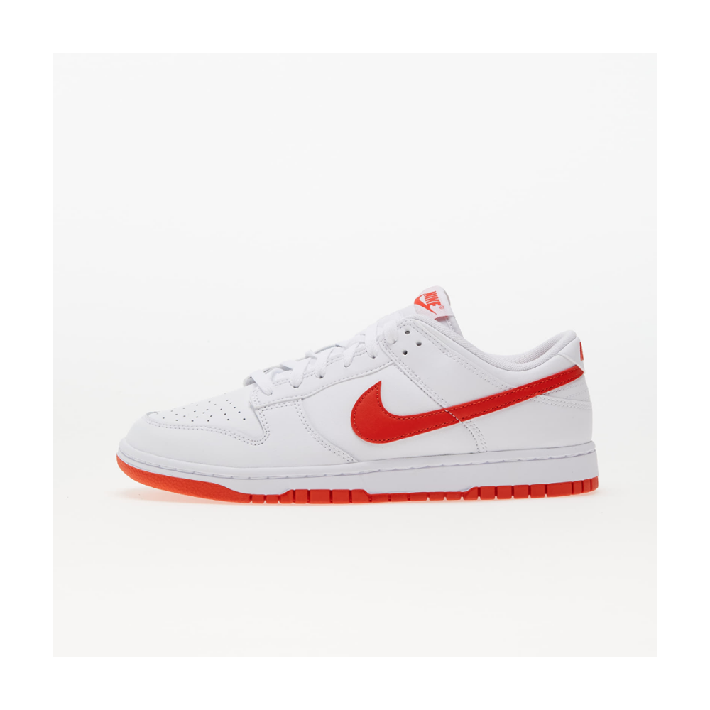 Nike Dunk Low Retro DV0831-103 / weiss