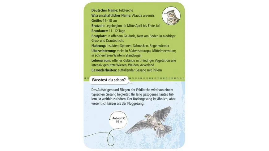 moses. - Expedition Natur - 50 heimische Vögel