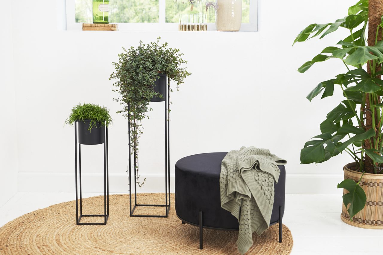 Lifa Living Pflanzgefäß Violett - 2er Set - Schwarz